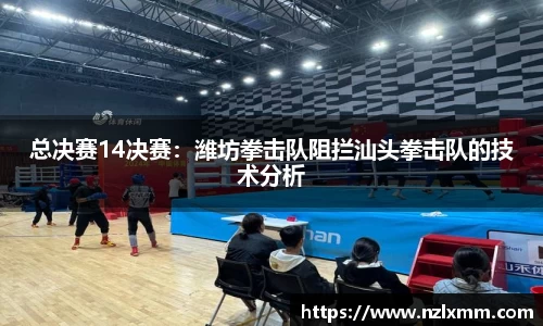 总决赛14决赛：潍坊拳击队阻拦汕头拳击队的技术分析
